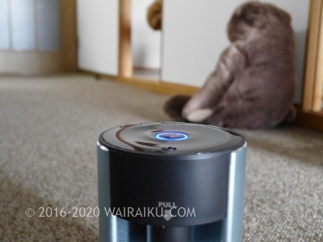 犬がいる部屋でアロマを楽しむなら気化式ディフューザーがおすすめ 犬がいる部屋でアロマを楽しむなら気化式ディフューザーがおすすめ