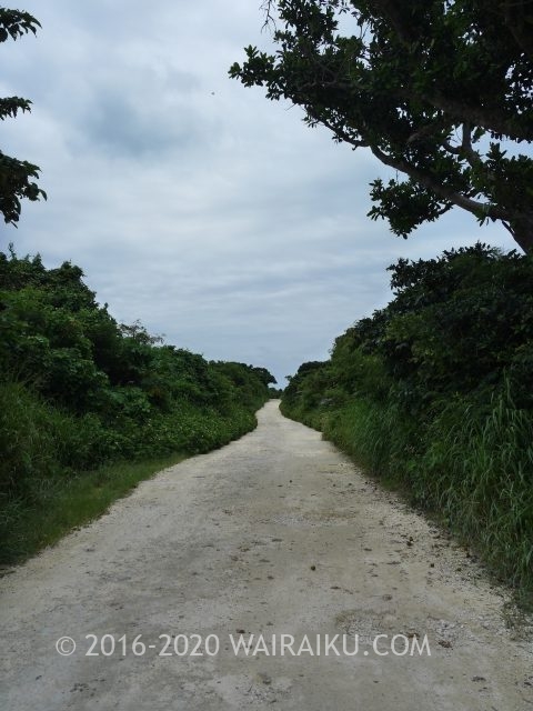 やど家たけのこ宿泊レビュー。梅雨の竹富島をのんびり観光。