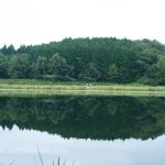 美しい水鏡と神秘的な空気を纏う龍王ヶ渕|奈良県宇陀市
