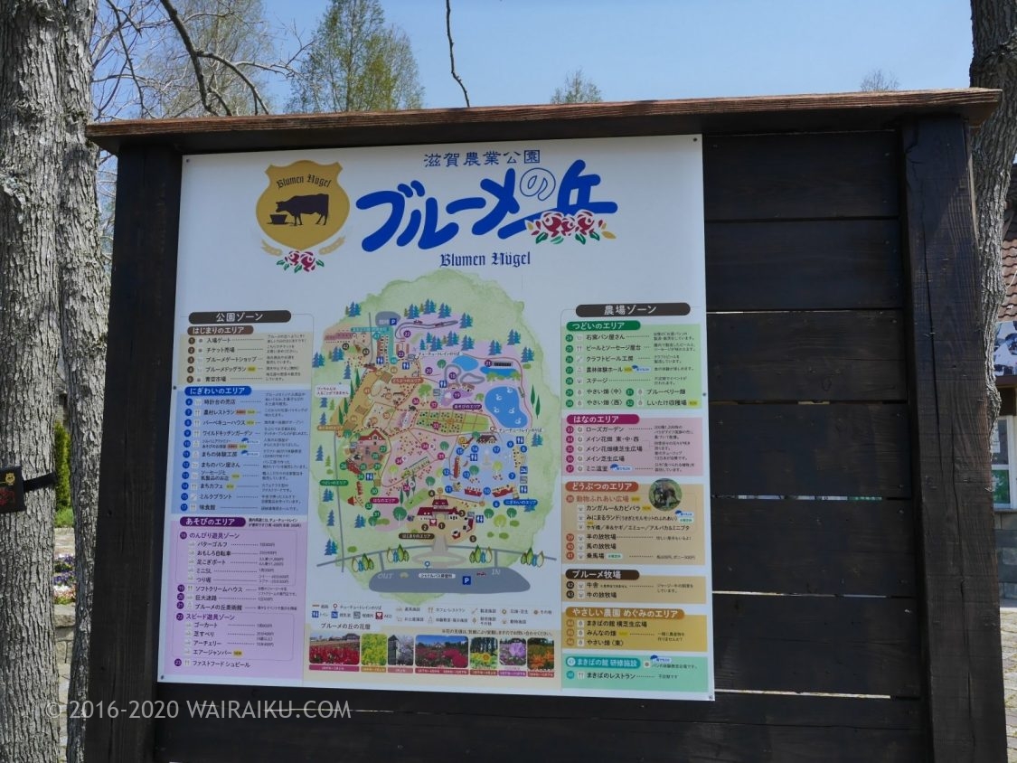 ブルーメの丘 犬