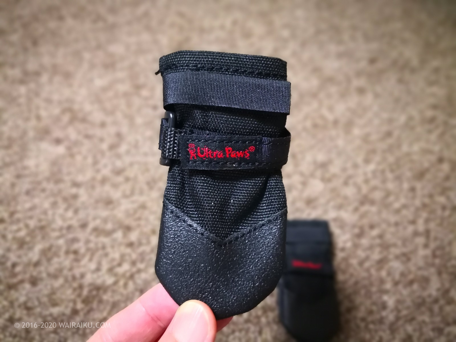 はじめての犬の靴は 履かせやすく脱げない Ultrapaws Durabledogboots