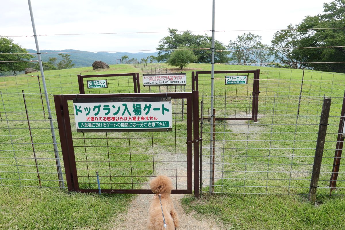 黒沢牧場　犬連れ　ドッグラン
