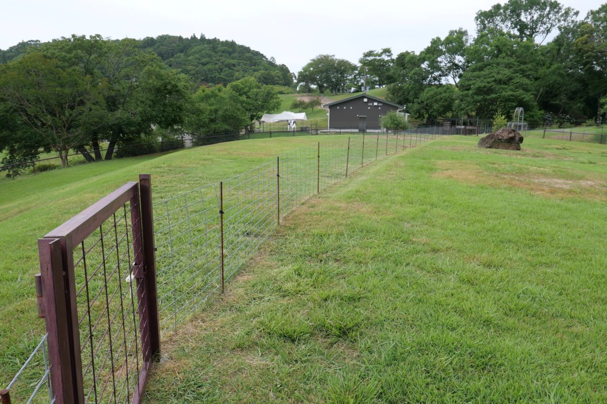 黒沢牧場　犬連れ　ドッグラン