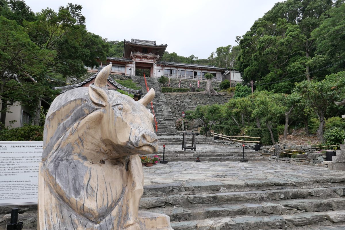 愛犬と和歌浦天満宮を参拝しました。