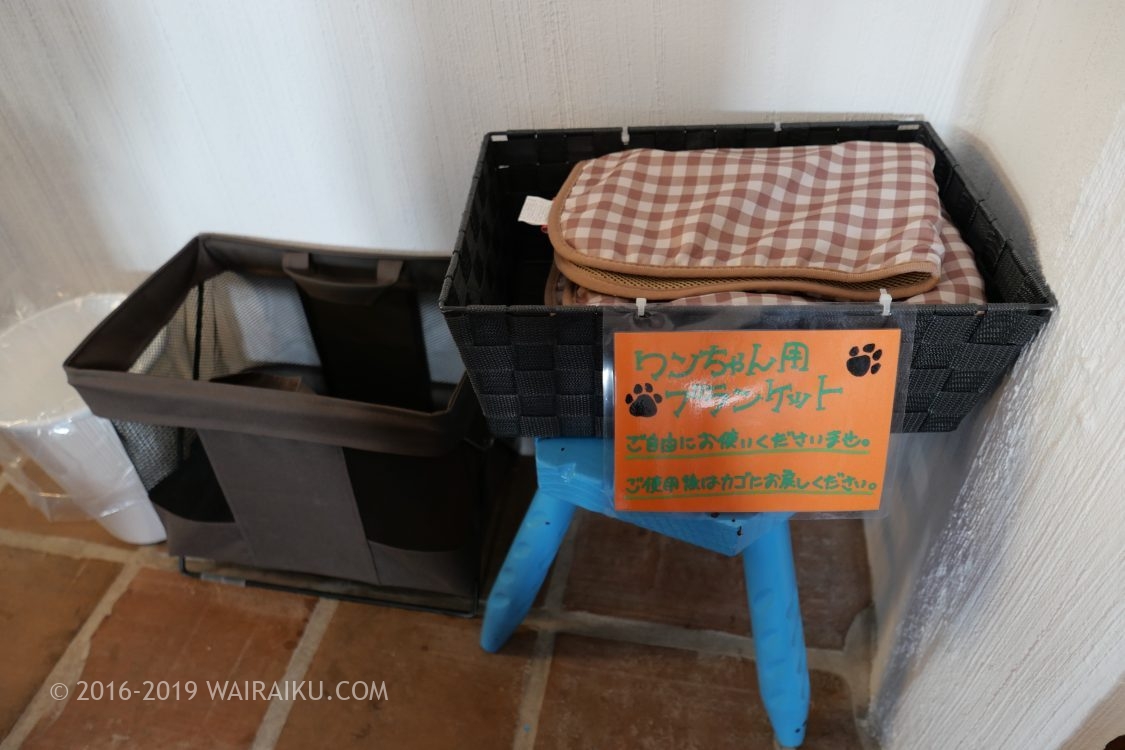 志摩地中海村　犬