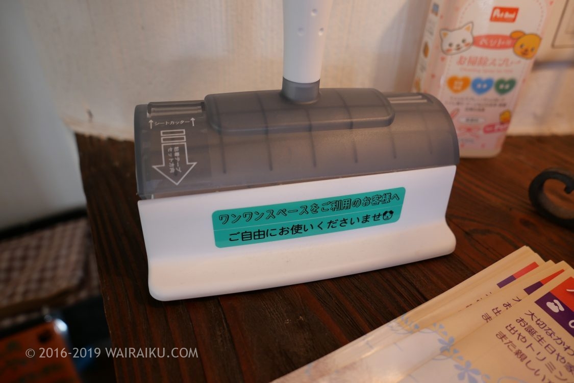 志摩地中海村　犬