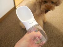 ペット　携帯　給水ボトル