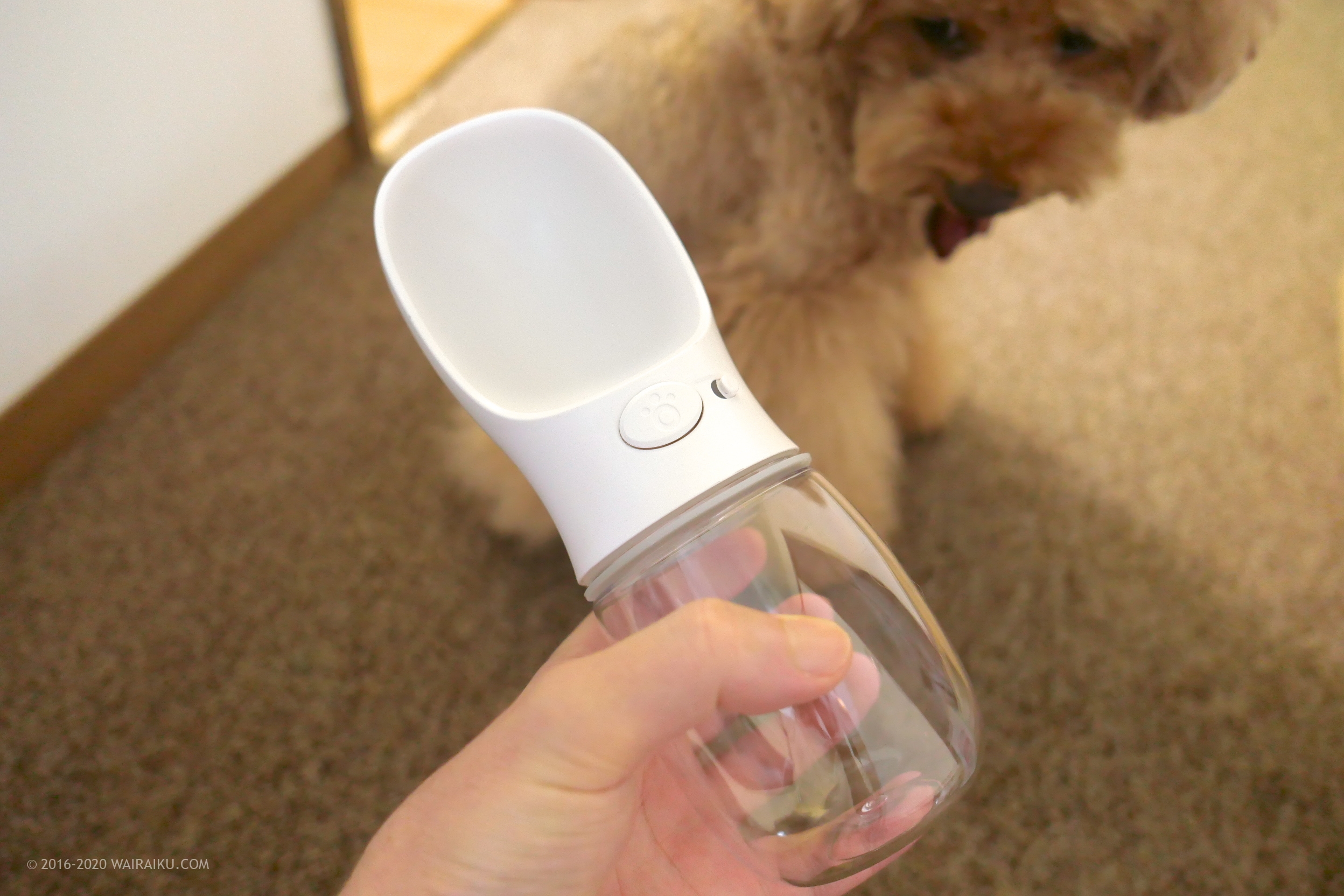 愛犬に片手で水をあげられる給水器 車内やお散歩に便利 ワイライク 愛犬に片手で水をあげられる給水器 車内やお散歩に便利 ワイライク