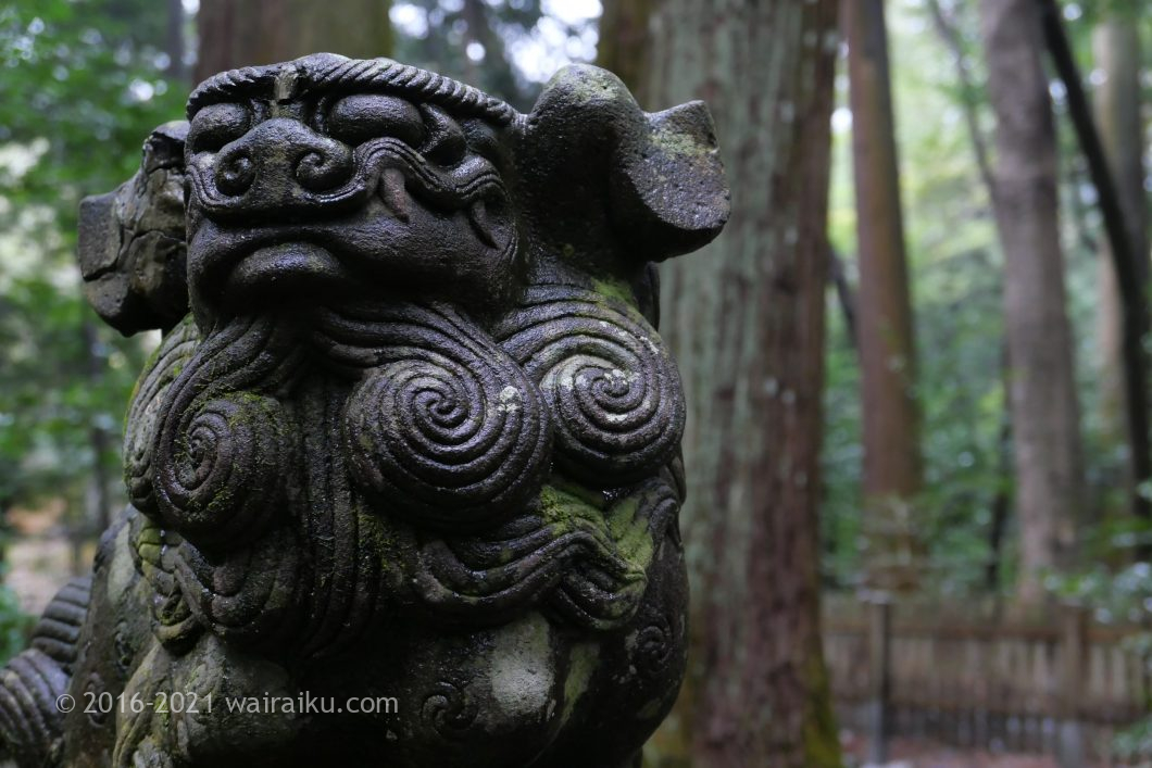 椿大神社 狛犬
