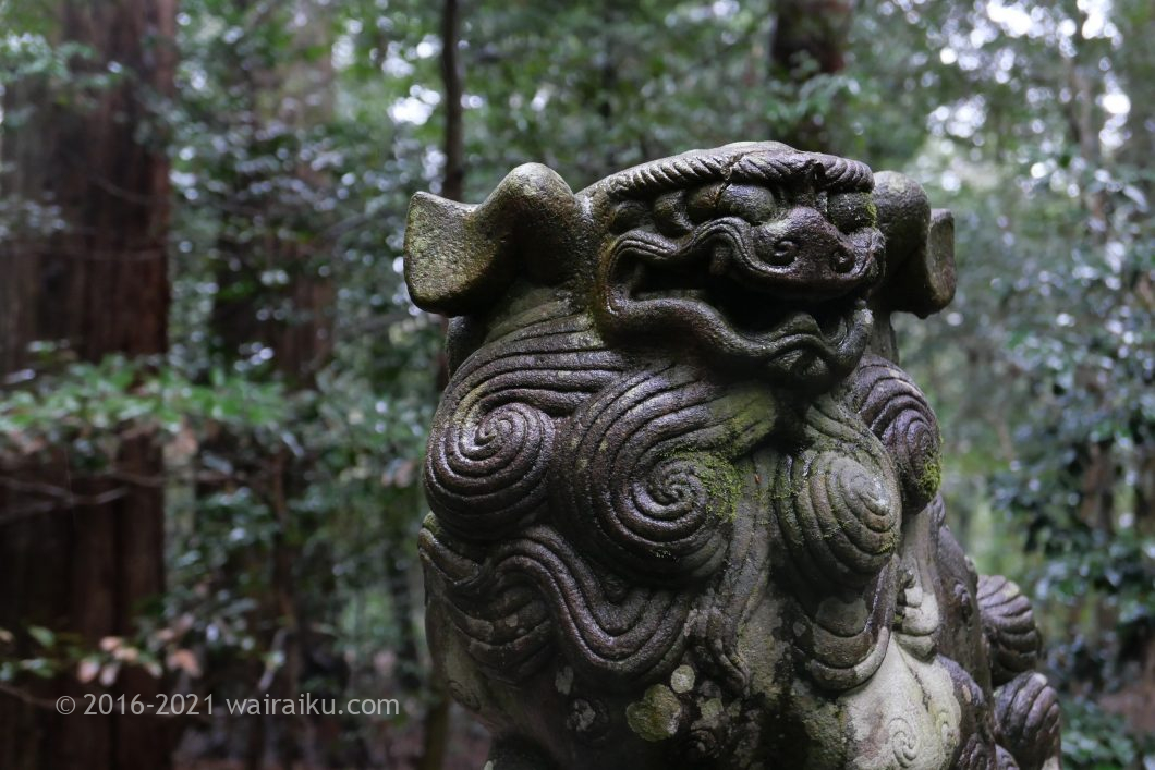 椿大神社 狛犬