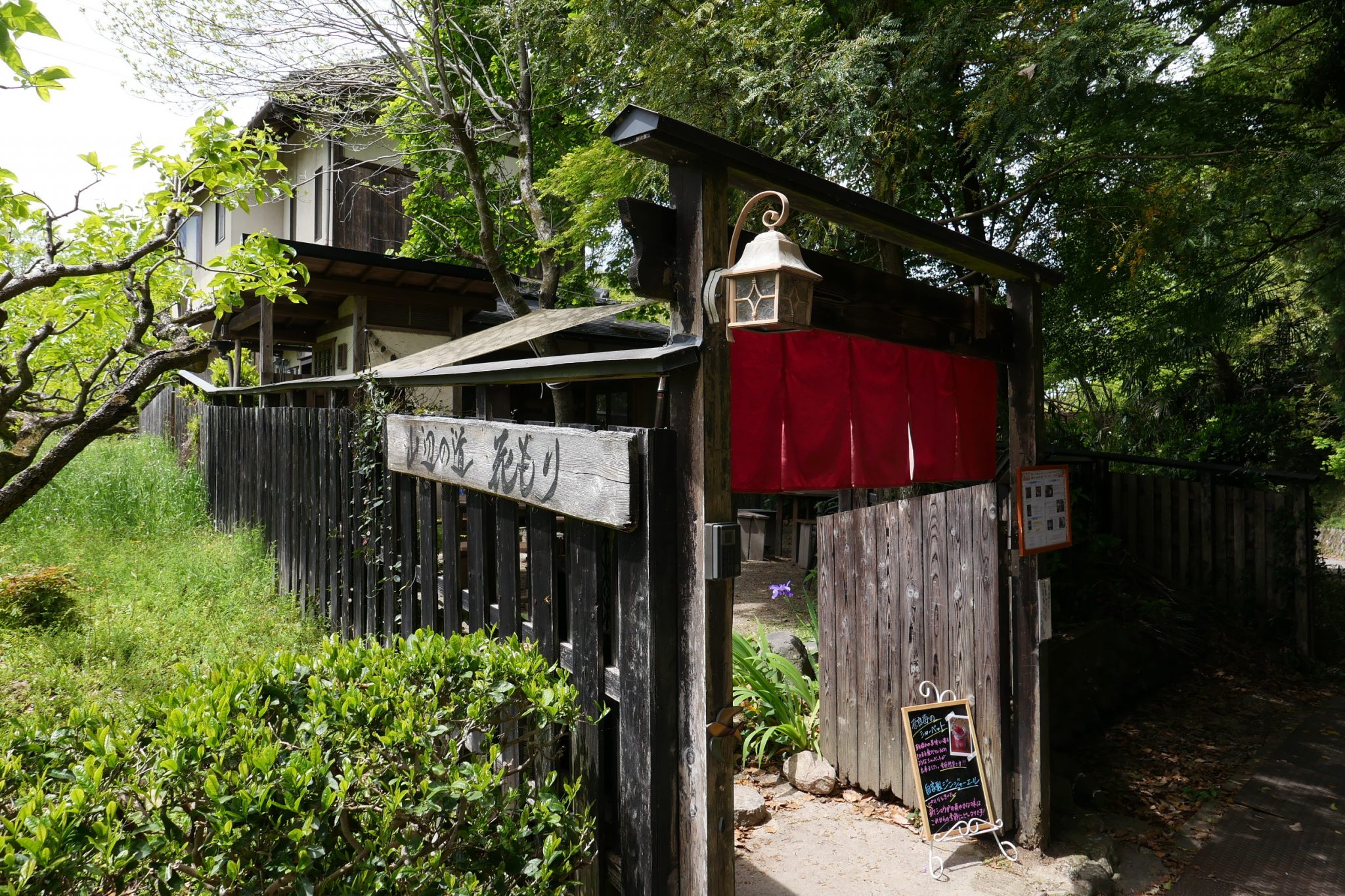 三輪山で営む食事処「山辺の道 花もり」で美味しい素麺をいただきました。ペットもOK!