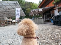 牡蠣食べ放題 ペット同伴可 山安水産パールロード店
