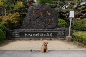 九度山巡礼 犬連れ