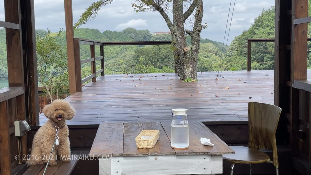 ユノカフェ 犬連れ