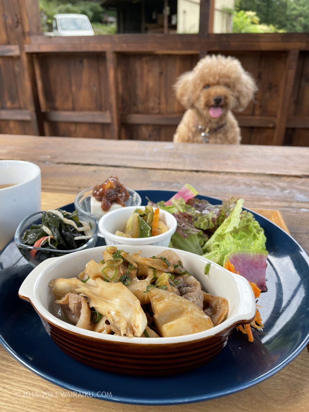 ユノカフェ 犬連れ