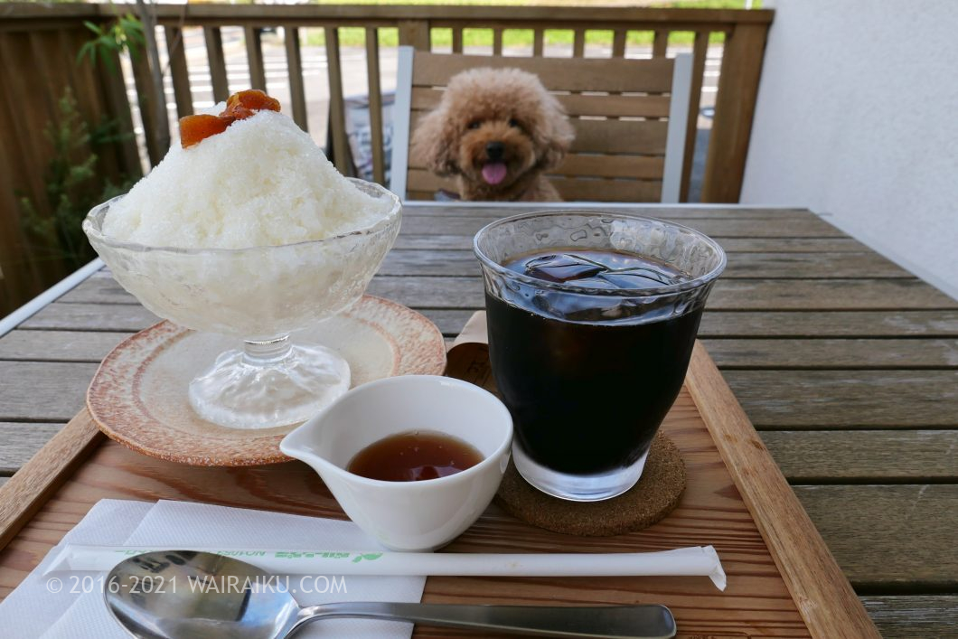 ペット同伴ok 明日香村の風が美味しい 森のカフェ で愛犬とデート ワイライク ペット同伴ok 明日香村の風が美味しい 森のカフェ で愛犬とデート ワイライク
