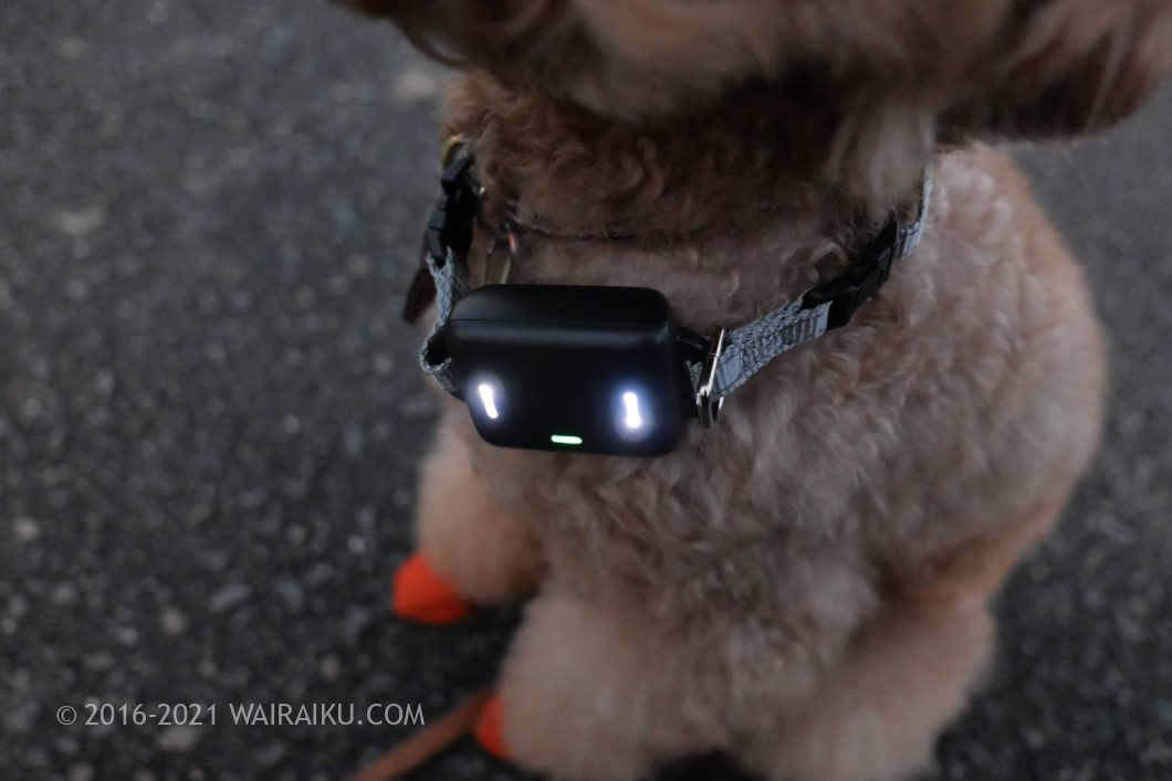 犬の散歩はこれだけ持って行けばオッケーなgogoleashをレビュー ワイライク 犬の散歩はこれだけ持って行けばオッケーなgogoleashをレビュー ワイライク