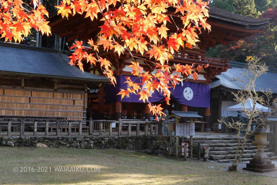 丹生都比売神社(にうつひめじんじゃ) 犬連れ