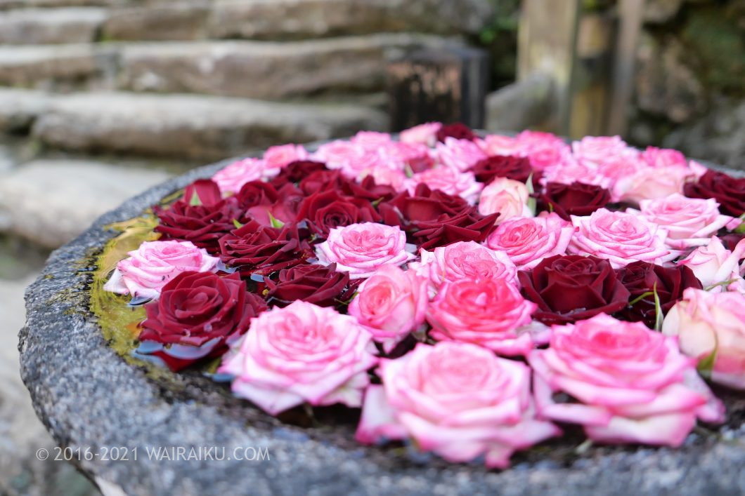 丹生都比売神社(にうつひめじんじゃ) 花手水