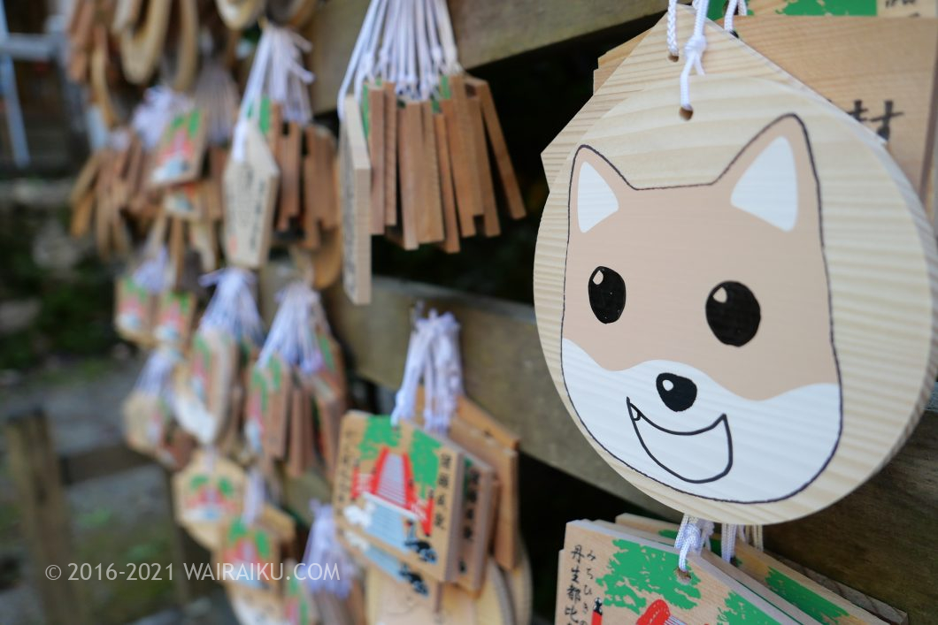 丹生都比売神社(にうつひめじんじゃ) 犬連れ