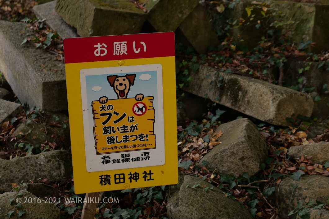 積田神社 犬連れ