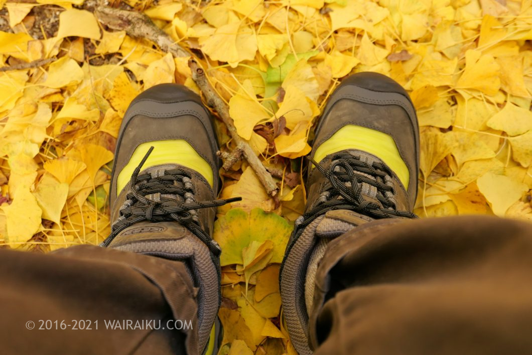 積田神社 犬連れ