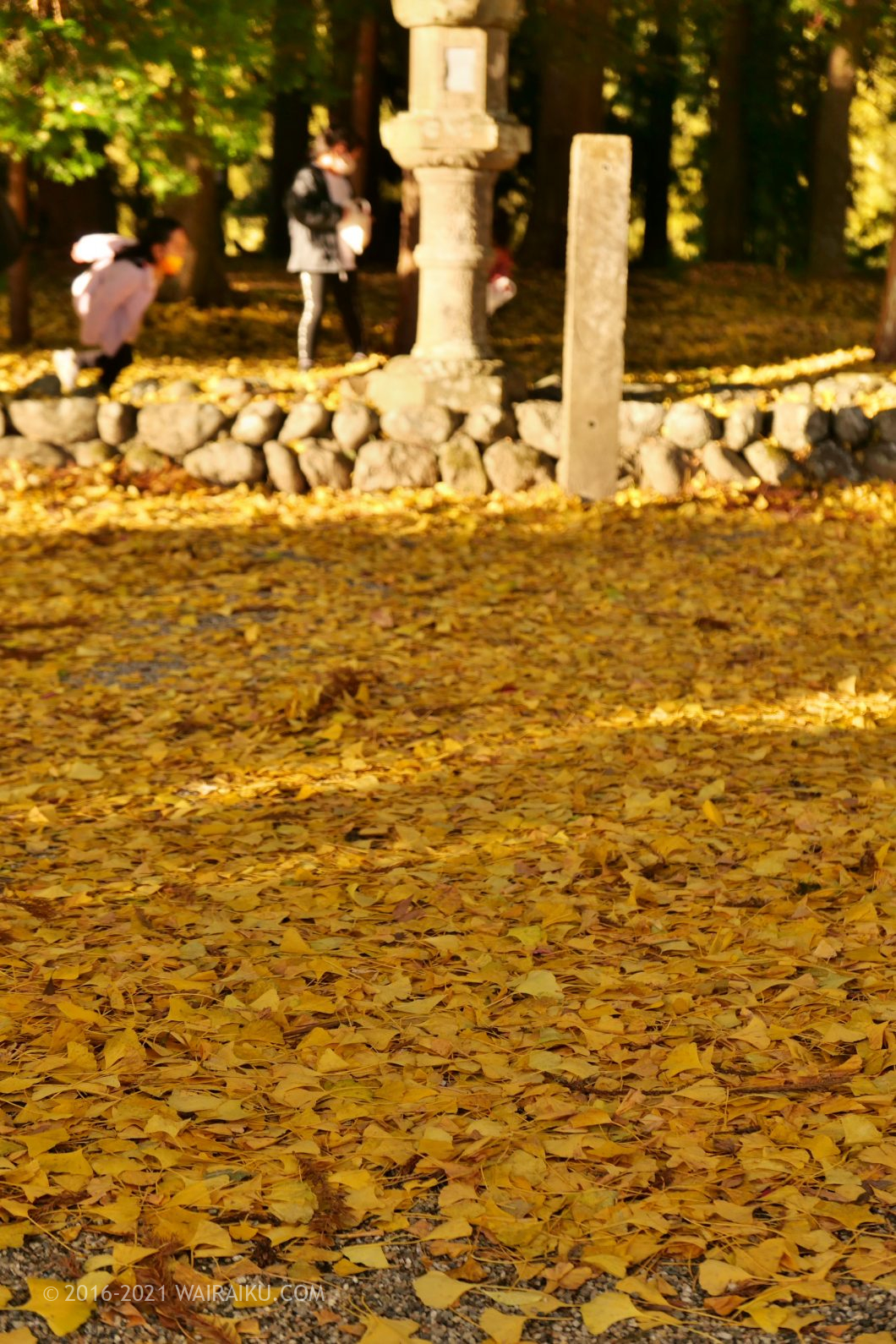積田神社 犬連れ