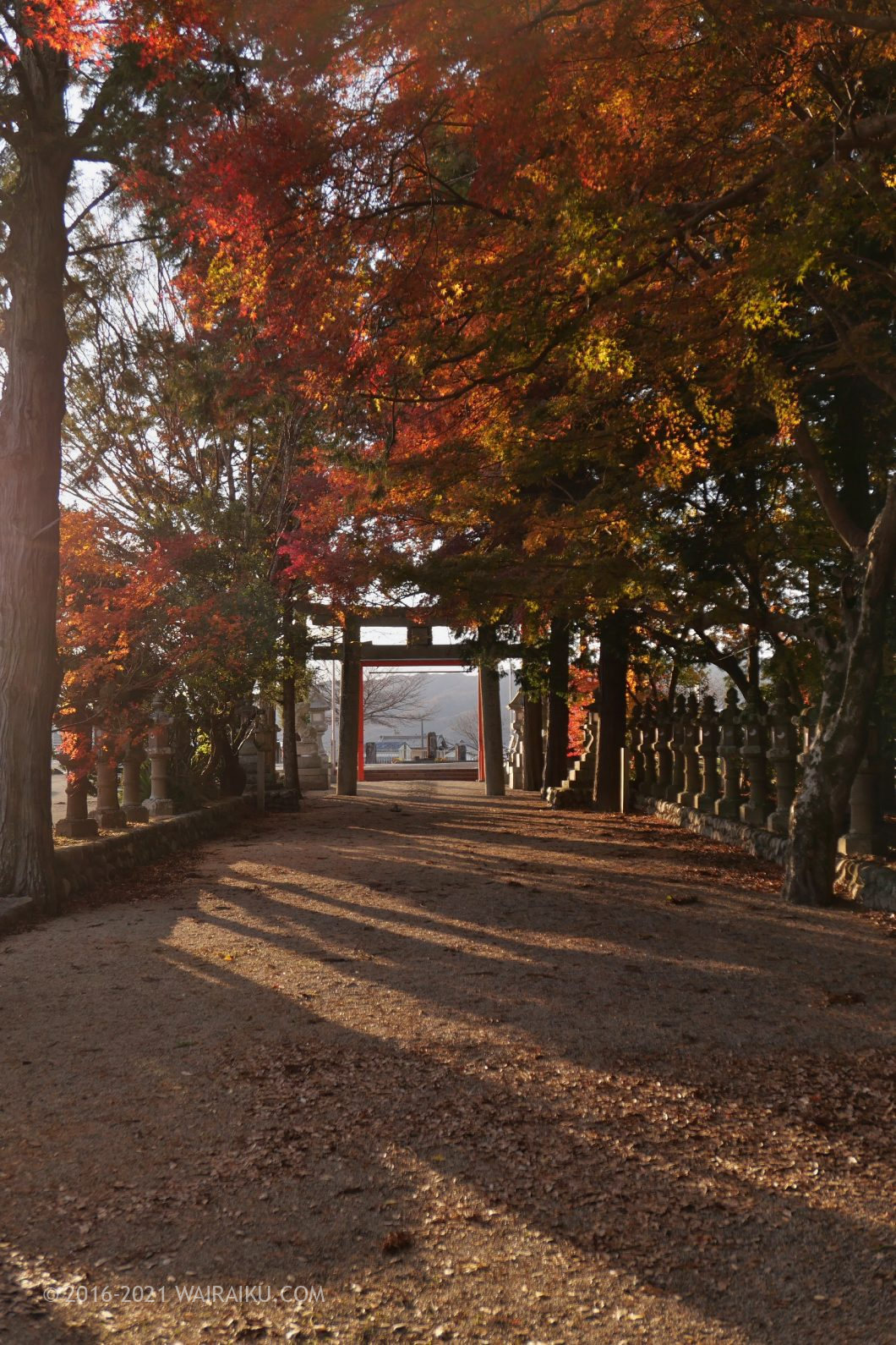 積田神社 犬連れ