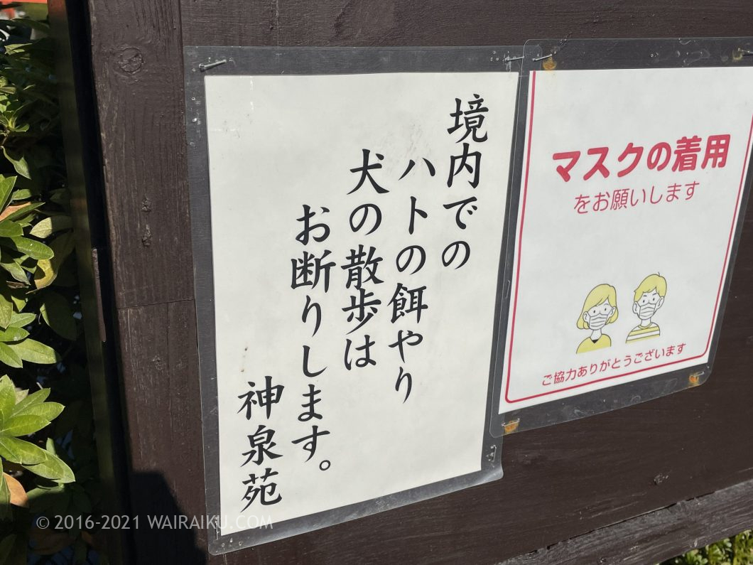 神泉苑 ペット同伴