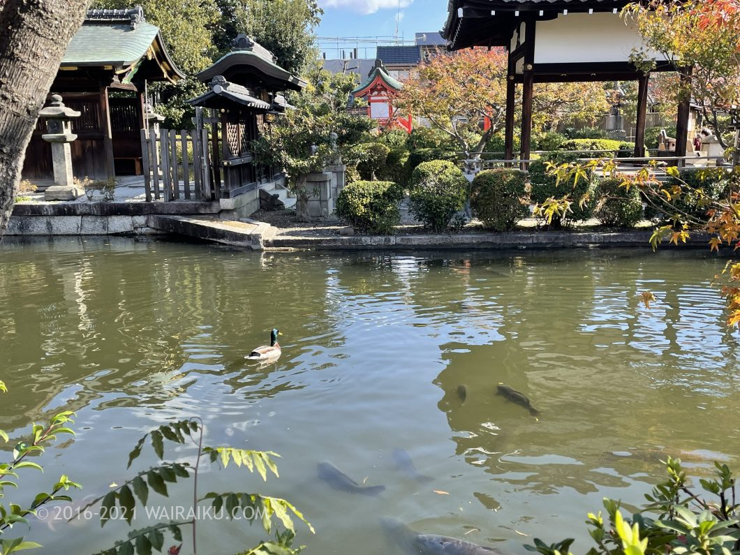 神泉苑 ペット同伴