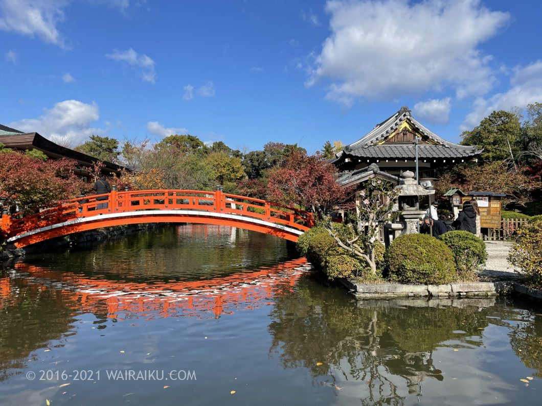 神泉苑 ペット同伴