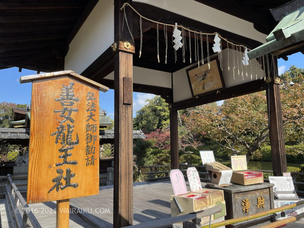 神泉苑 願いを一つだけ叶えてくれる龍神