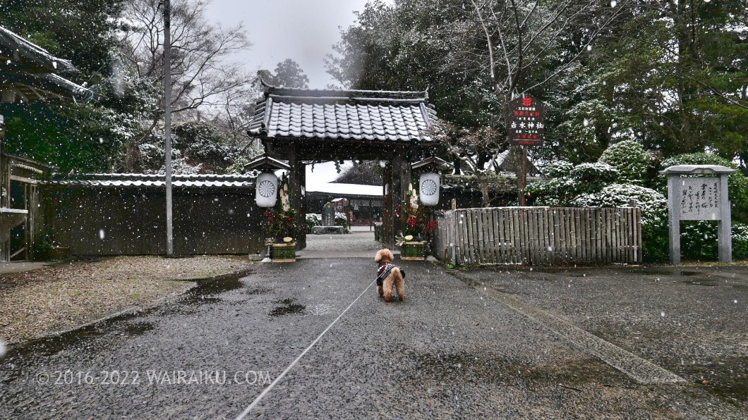 奈良県　犬とお出かけ　吉水神社