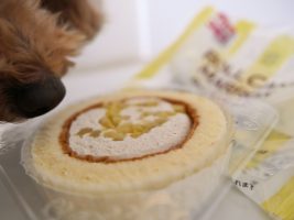 犬と人間が一緒に食べられるコミフのロールケーキ