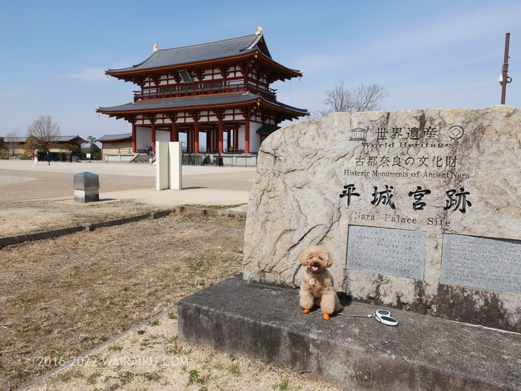 国営平城宮跡歴史 朱雀門ひろば 犬連れ