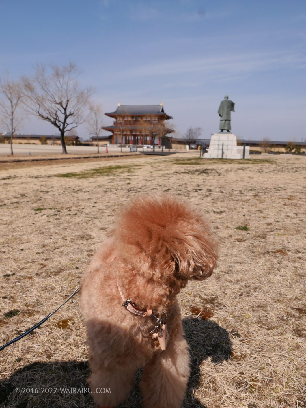国営平城宮跡歴史 朱雀門ひろば 犬連れ