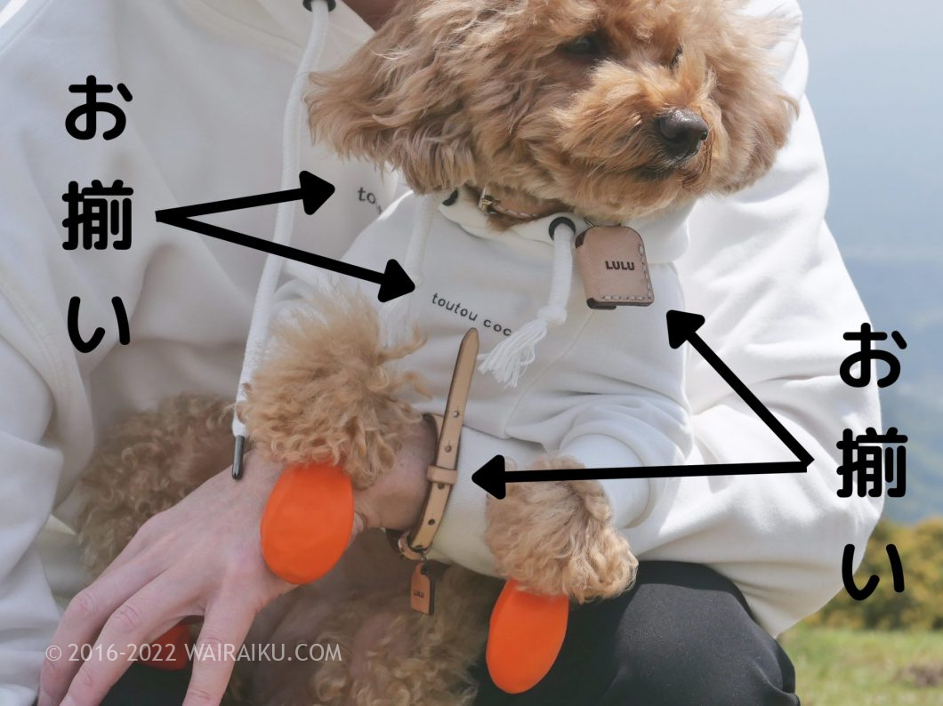 犬とお揃いの服とアクセサリー