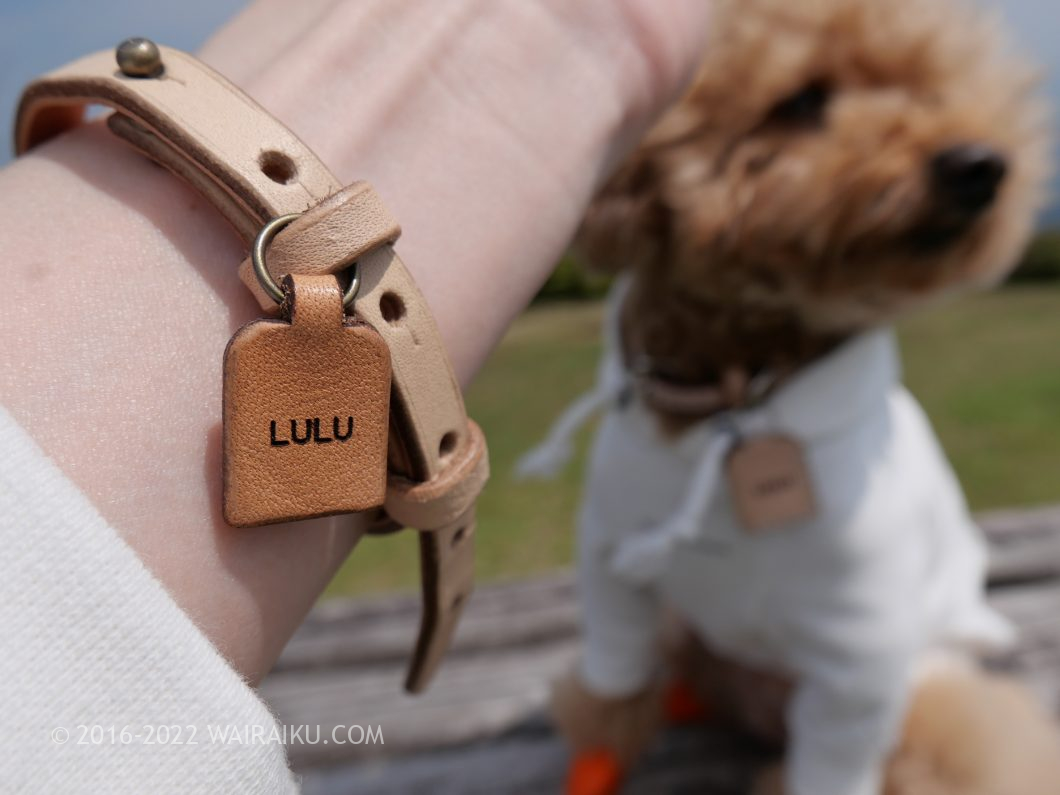 犬とお揃いの服とアクセサリー
