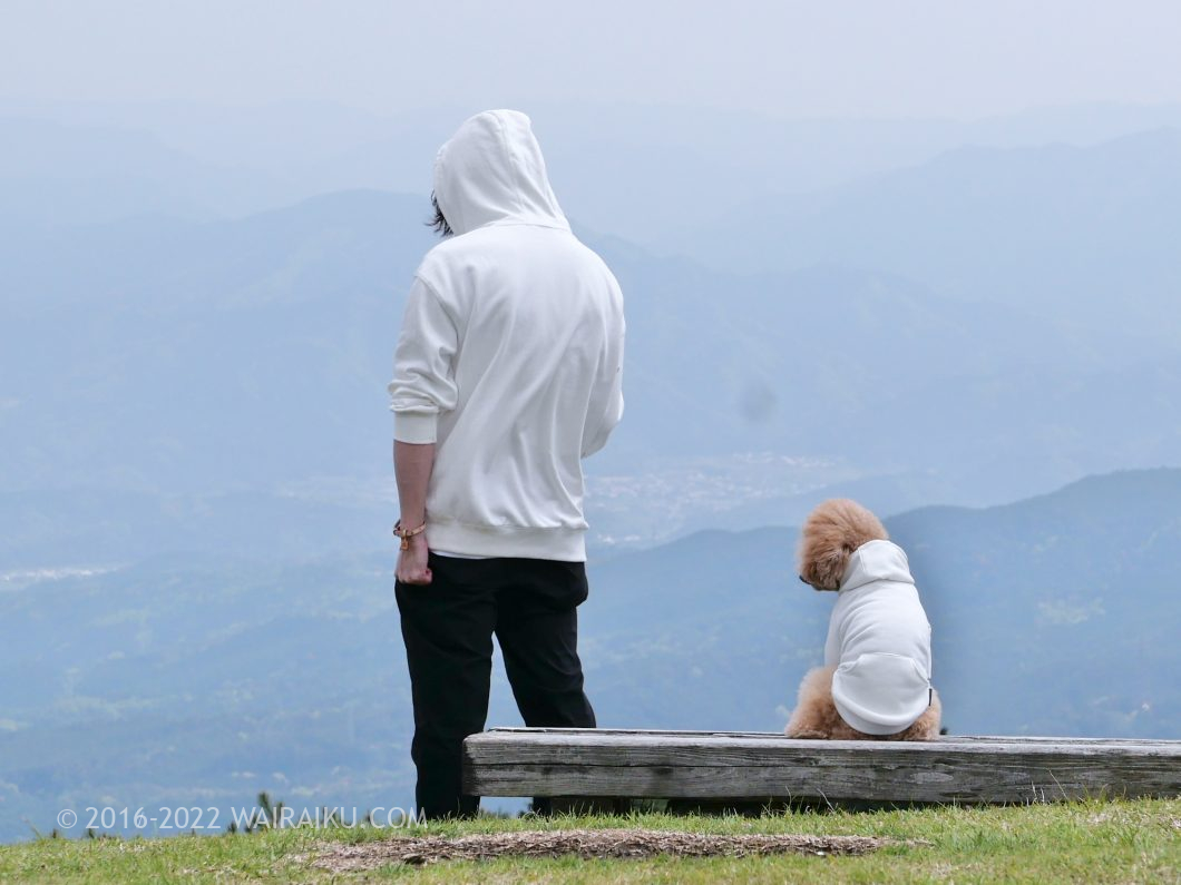 犬とお揃いの服とアクセサリー