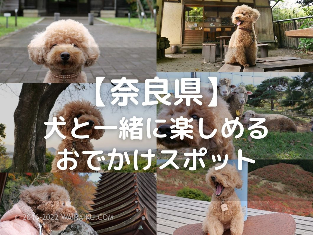 奈良県　犬とお出かけ