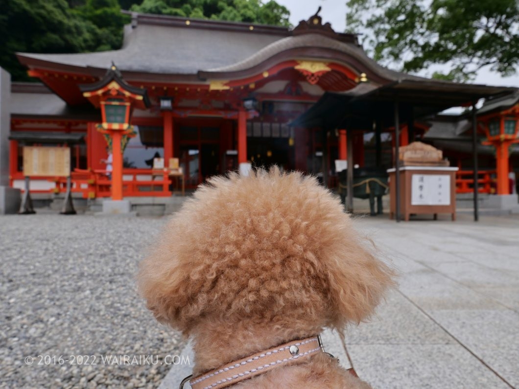 紀伊半島 ドライブコース 那智大社