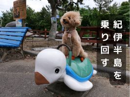 紀伊半島 ドライブコース ペット同伴