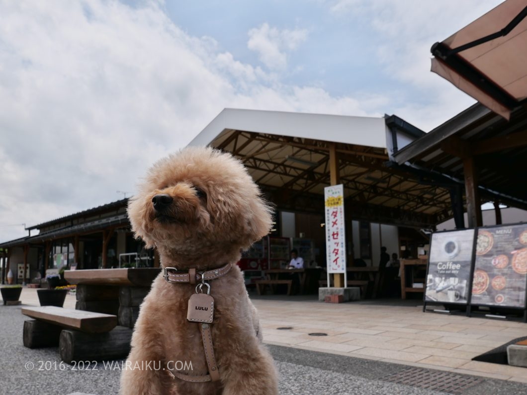 道の駅せせらぎの里こうら ペット