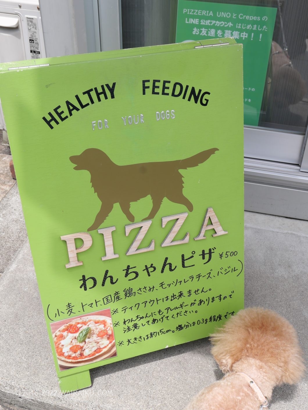 道の駅せせらぎの里こうら ペット