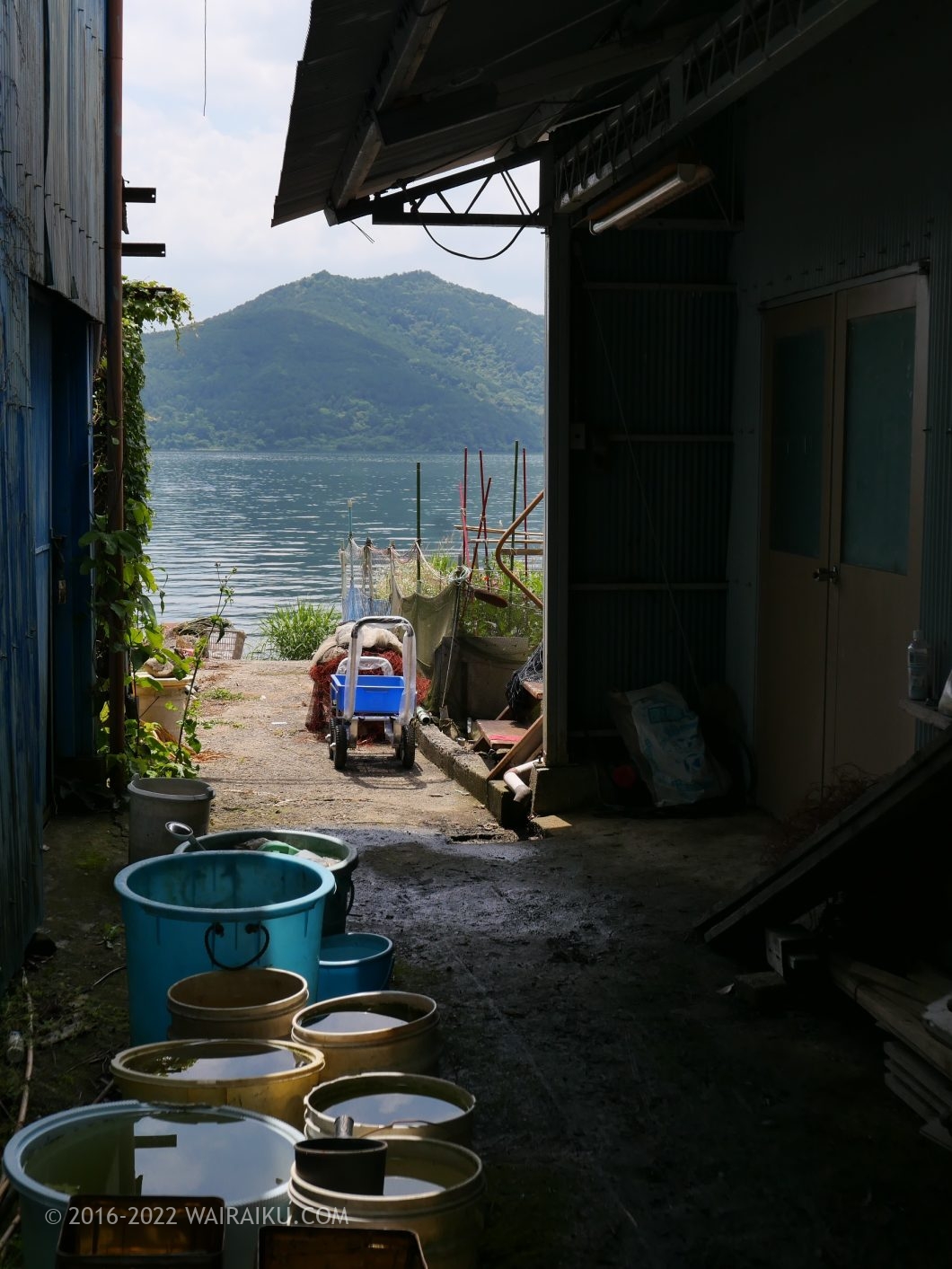 沖島 犬連れ