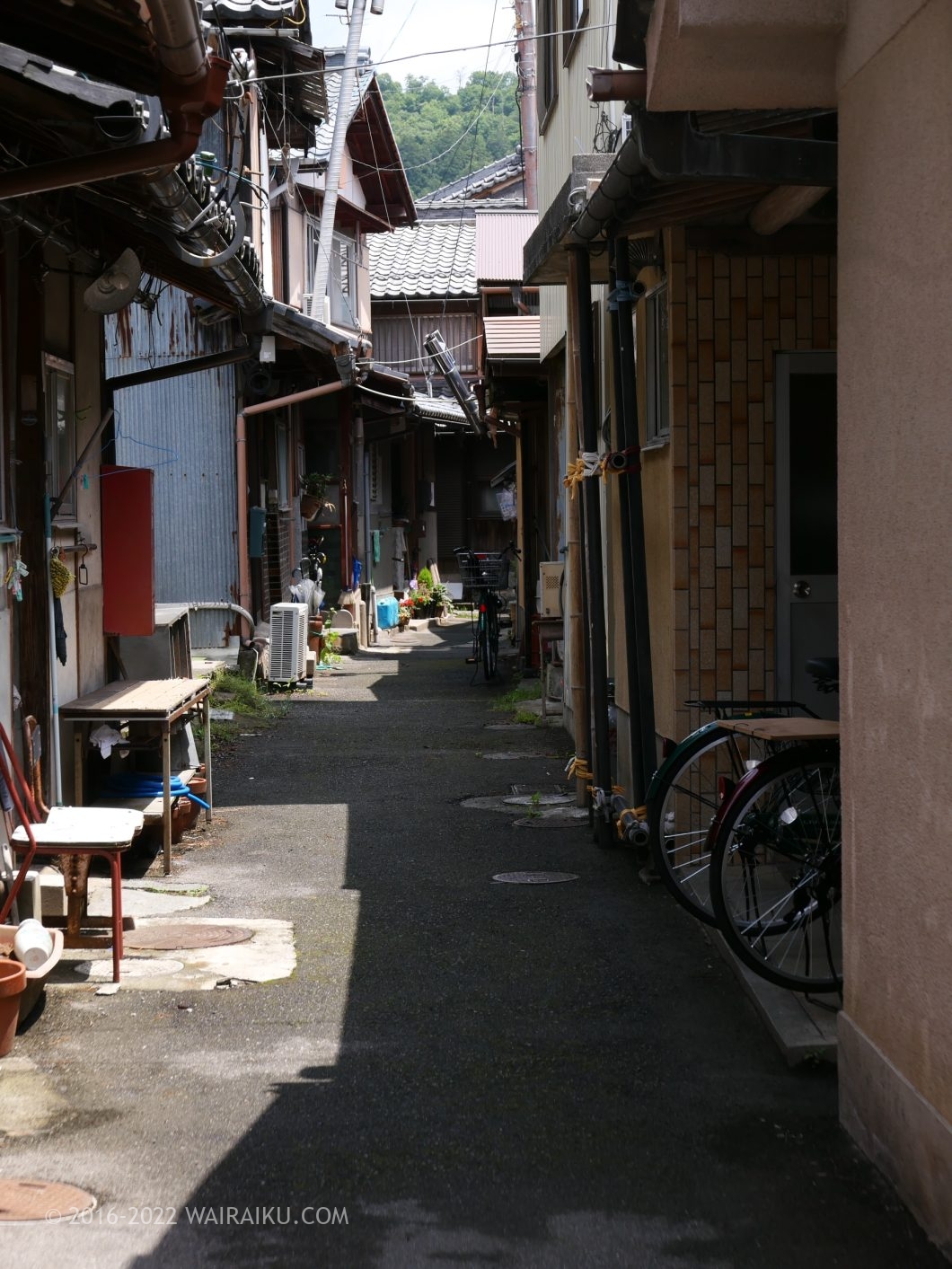 沖島 犬連れ