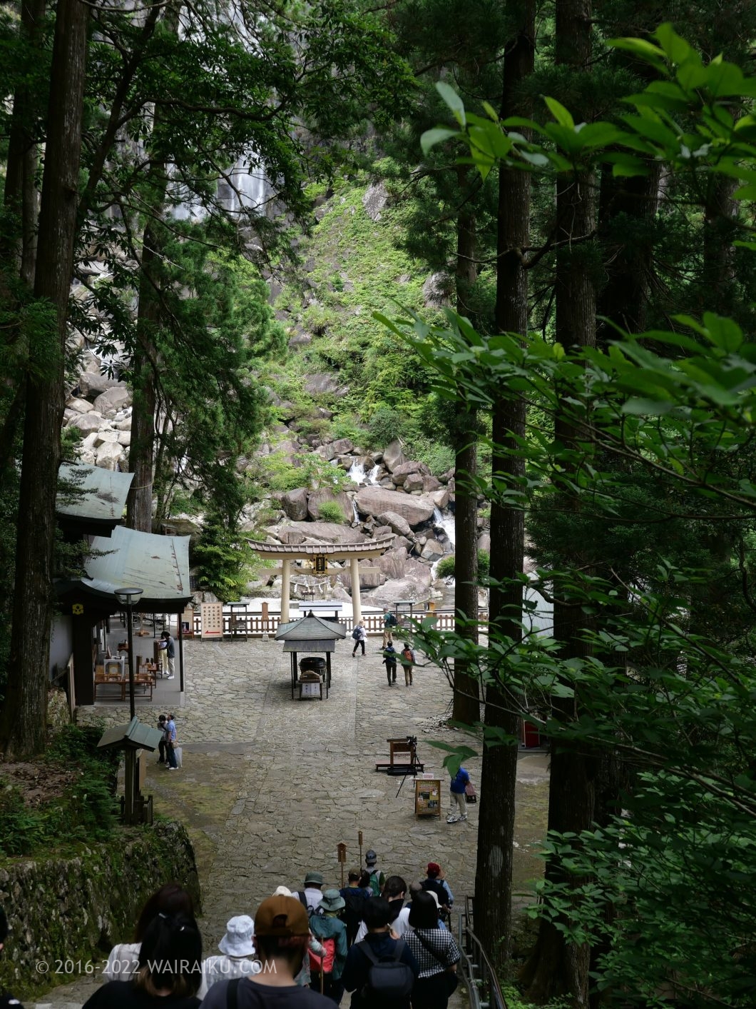那智の滝 飛瀧神社 犬連れ