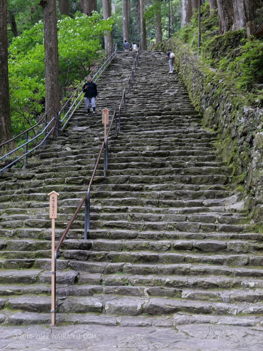 那智の滝 飛瀧神社 犬連れ