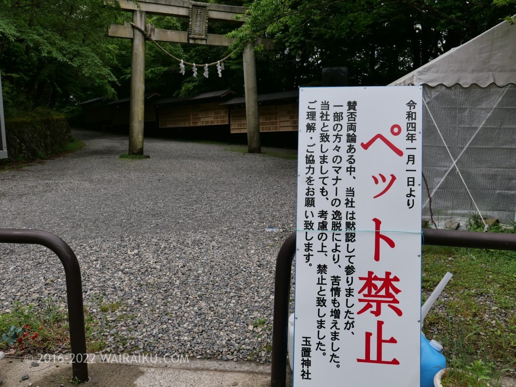 犬のトイレマナー