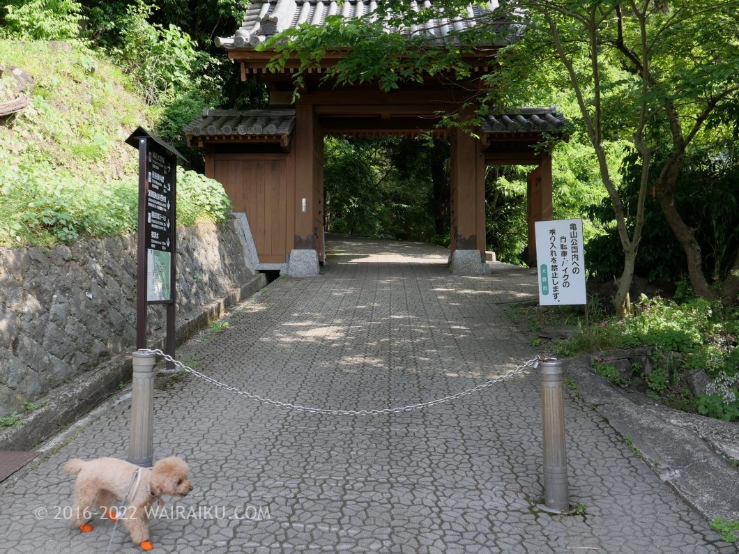 越前大野城 犬連れ